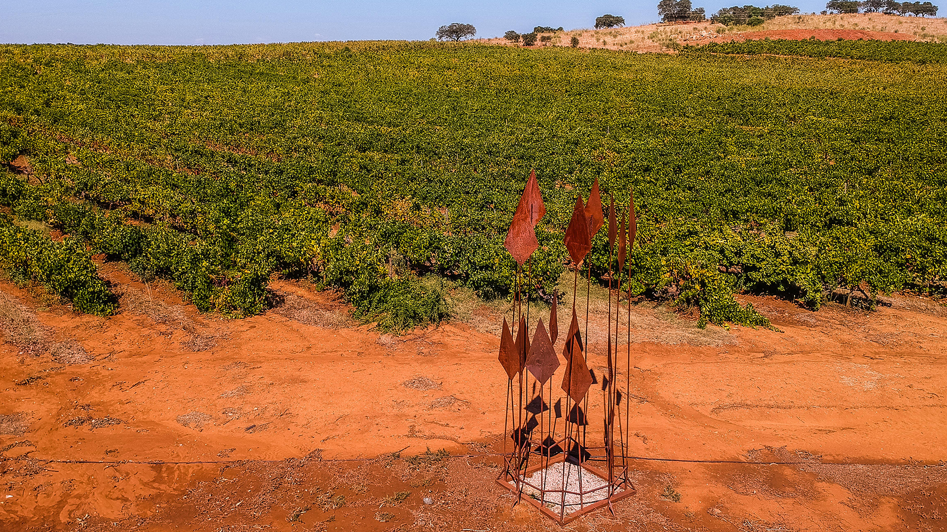 Galeria_terroir_0000_HG_Aereas_71