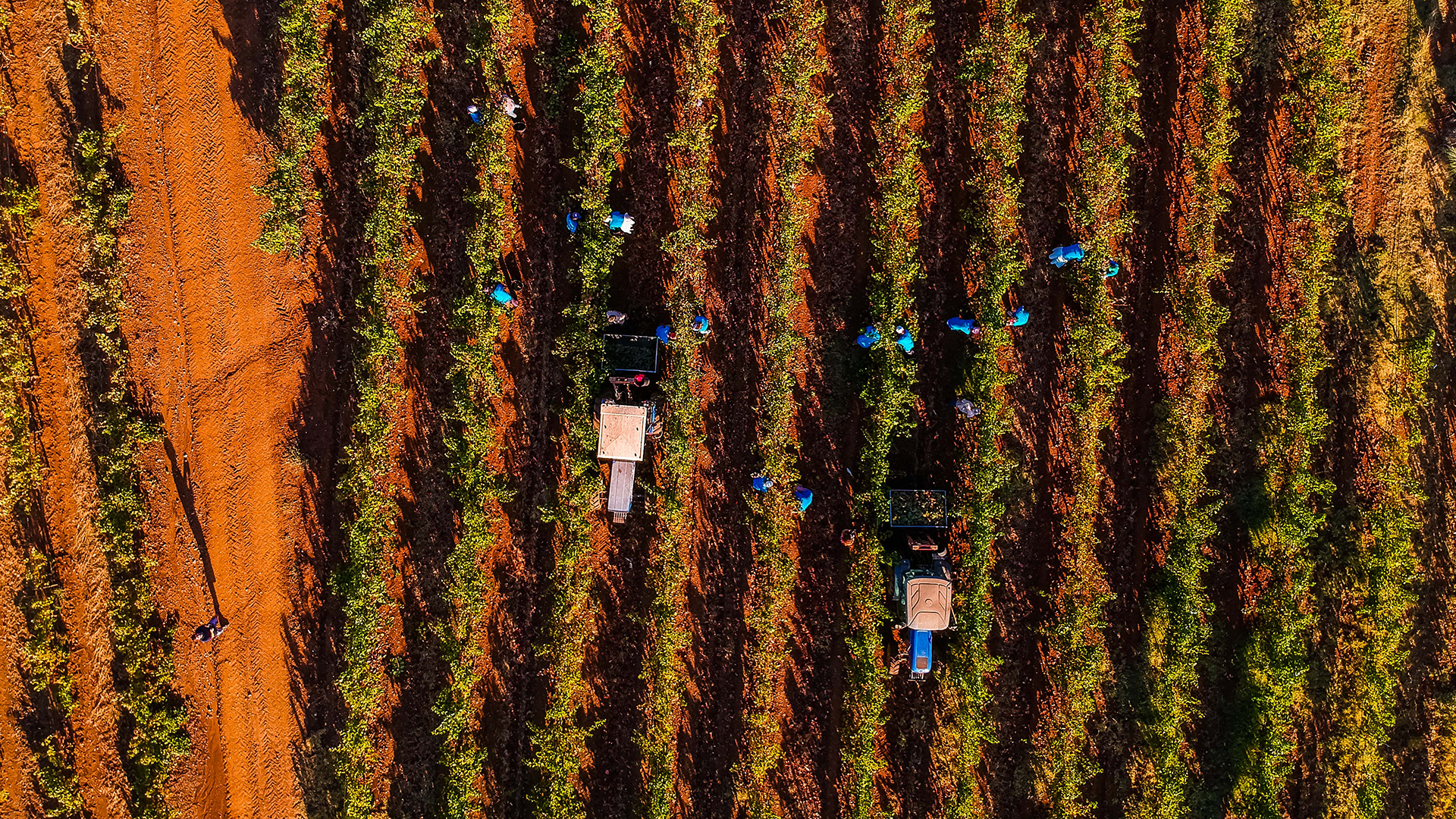 Galeria_terroir_0001_HG_Aereas_48