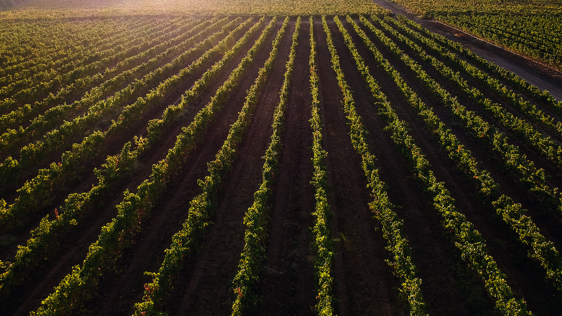 Galeria_terroir_0003_HG_Aereas_20
