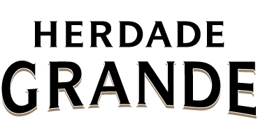 Logo HG Dourado
