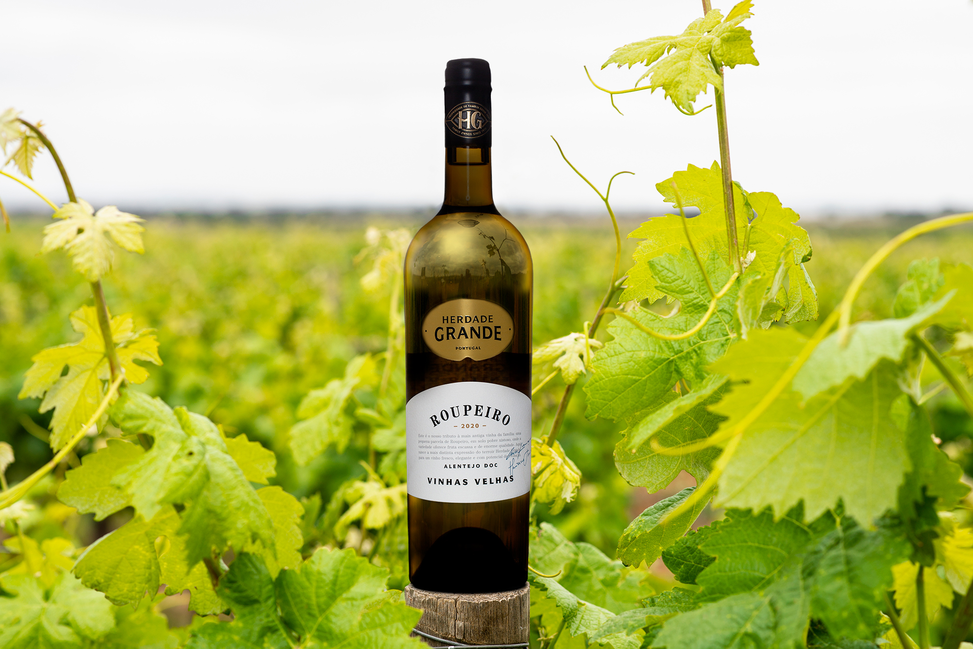 O tributo à mais antiga vinha da família. Herdade Grande lança Roupeiro Vinhas Velhas